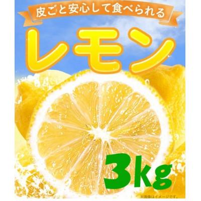 ふるさと納税 鞍手町 [訳あり]レモン3kg(2種類食べ比べ) 農園直送 栽培期間中農薬不使用