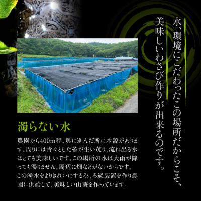 ふるさと納税 八幡平市 生わさび 100g 　AE-011-D |  | 02
