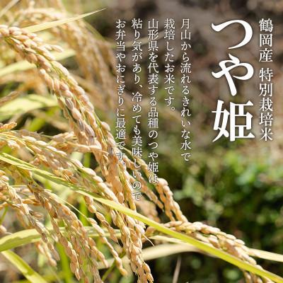 ふるさと納税 鶴岡市 【令和8年産】特別栽培米つや姫精米5kg[K-840] |  | 01
