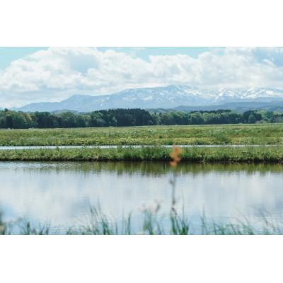 ふるさと納税 鶴岡市 【令和8年産】特別栽培米つや姫精米5kg[K-840] |  | 03