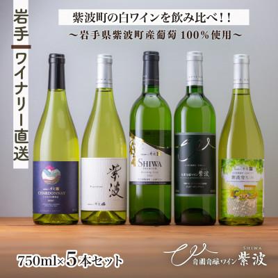 ふるさと納税 紫波町 [自園自醸ワイン紫波]辛口白ワイン飲み比べ5本セット