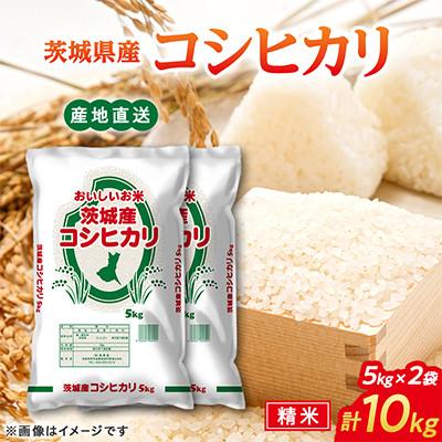 ふるさと納税 常陸大宮市 令和8年産 コシヒカリ 10kg( 5kg ×2袋)精白米 茨城県産 米
