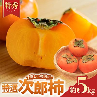 ふるさと納税 多気町 [令和9年度先行予約]優しい農園の特選次郎柿 5kg 20玉目安