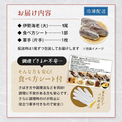 ふるさと納税 勝浦市 天然伊勢海老・千葉県勝浦産 生冷活〆大サイズ1尾入おためし【刺身OK】贈答 |  | 01