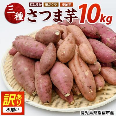 ふるさと納税 指宿市 [訳あり・不揃い]さつまいも3種(紅はるか・栗かぐや・安納芋)詰合せ10kg(IB084-001)