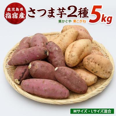 ふるさと納税 指宿市 らくと農園のさつまいも2種(栗かぐや・栗こがね)詰合せ約5kg(IB084-002)