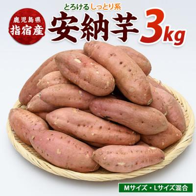 ふるさと納税 指宿市 らくと農園の安納いも約3kg(IB084-006)