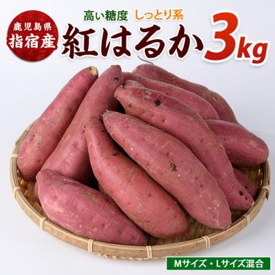 ふるさと納税 指宿市 らくと農園の紅はるか約3kg(IB084-007)