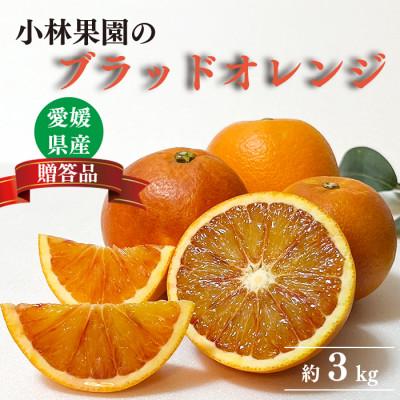 ふるさと納税 八幡浜市 小林果園のブラッドオレンジ(約3kg)[大切な方への贈り物に][24-51]