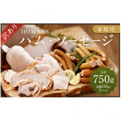 ふるさと納税 太良町 [訳あり]ほまれハム・ソーセージ(家庭用)5パック(太良町)[004-0003]