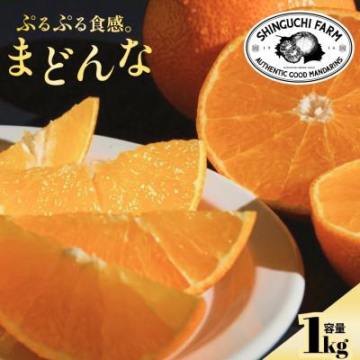 ふるさと納税 八幡浜市 [創業110年 老舗農家が本気で作った]まどんな 1kg[紅まどんな と同品種][70-195]