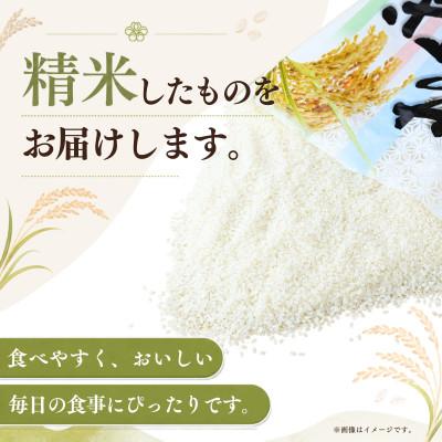 ふるさと納税 かすみがうら市 【令和8年産】 新米 あきたこまち 精米 10kg(5kg×2袋) |  | 01