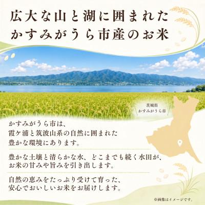ふるさと納税 かすみがうら市 【令和8年産】 新米 あきたこまち 精米 10kg(5kg×2袋) |  | 02