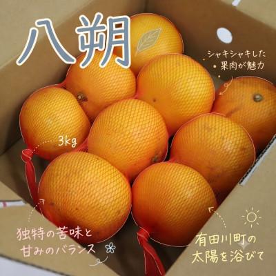 ふるさと納税 有田川町 [訳あり 家庭用]八朔 3kg(S〜2Lサイズ混合)
