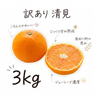 ふるさと納税 有田川町 [訳あり 家庭用]清見 3kg(S〜2Lサイズ混合)