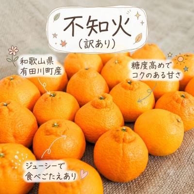 ふるさと納税 有田川町 [訳あり 家庭用]不知火 3kg(S〜2Lサイズ混合)