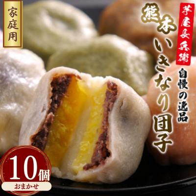 ふるさと納税 益城町 [家庭用]芋屋長兵衛自慢の逸品 熊本いきなり団子(訳あり)(5種) 10個セット