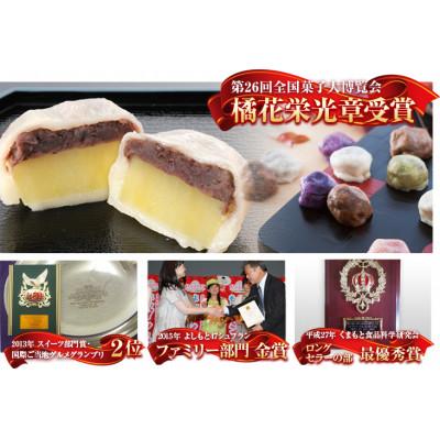 ふるさと納税 益城町 【家庭用】芋屋長兵衛自慢の逸品　熊本いきなり団子(訳あり)(5種) 10個セット |  | 03