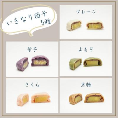 ふるさと納税 益城町 【家庭用】芋屋長兵衛自慢の逸品　熊本いきなり団子(訳あり)(5種) 20個セット |  | 02