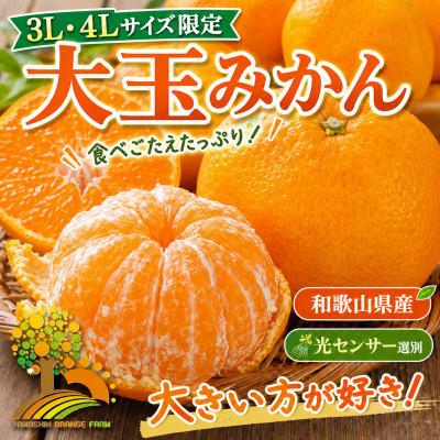 ふるさと納税 那智勝浦町 こだわりの有田みかん 秀品 大玉3L以上 約7.5kg (nuk004-l-7d5)
