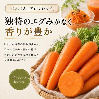 ふるさと納税 幕別町 小笠原農園の有機にんじん「アロマレッド」5kg　幕別《2026年秋出荷先行予約》[53691416] |  | 01
