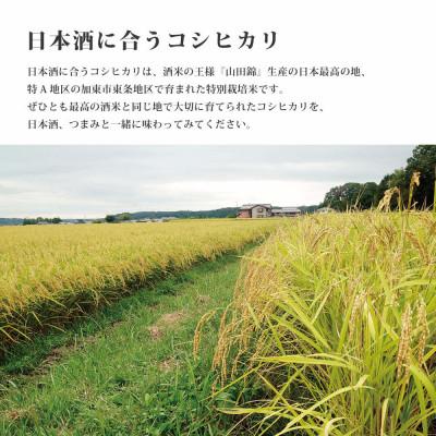 ふるさと納税 加東市 訳あり 無地袋梱包 《令和7年産》日本酒に合うコシヒカリ　白米10kg(5kg×2) |  | 01