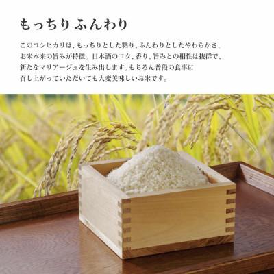 ふるさと納税 加東市 訳あり 無地袋梱包 《令和7年産》日本酒に合うコシヒカリ　白米10kg(5kg×2) |  | 02