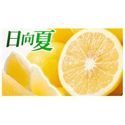 ふるさと納税 綾町 今が旬日向夏(種あり)2.5kg