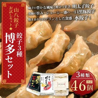 ふるさと納税 福津市 [山八]餃子3種博多セット(博多明太子餃子・博多一口黒豚餃子・博多水餃子)計46個[H4430]