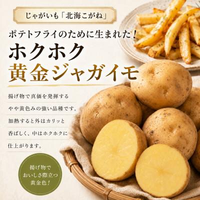 ふるさと納税 幕別町 有機野菜3種 北海こがね1kg・玉ねぎ1kg・リーキ1kg R8秋出荷[53691409] |  | 01