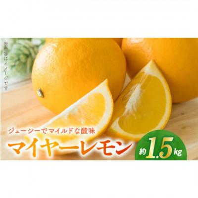 ふるさと納税 宇土市 [先行予約]福島オレンジ農園 マイヤーレモン 1.5kg