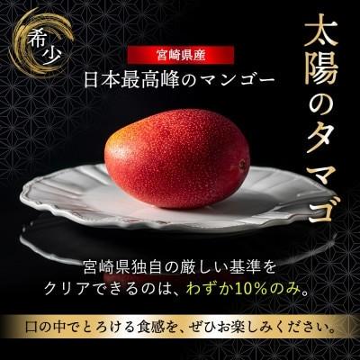 ふるさと納税 綾町 太陽のタマゴ 5L 約600g