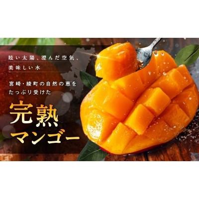 ふるさと納税 綾町 完熟マンゴー 3L〜4L 2パック