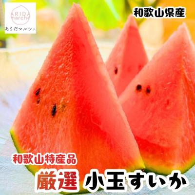 ふるさと納税 九度山町 ≪先行予約 2027年6月〜発送≫農家直送 厳選 小玉すいか Mサイズ/1玉入り