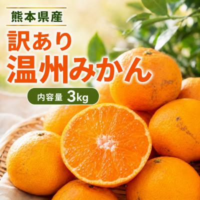 ふるさと納税 和水町 [大人気]訳あり 熊本 みかん 計3kg 家庭用