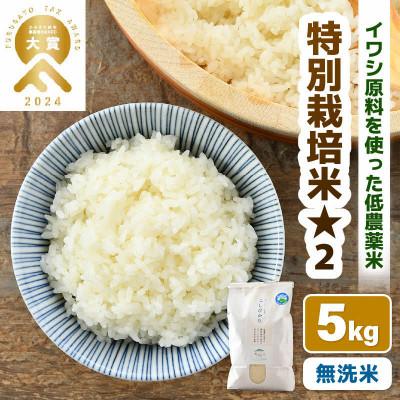 ふるさと納税 あわら市 [令和8年産] 特別栽培米 コシヒカリ 無洗米 5kg 低農薬/白米