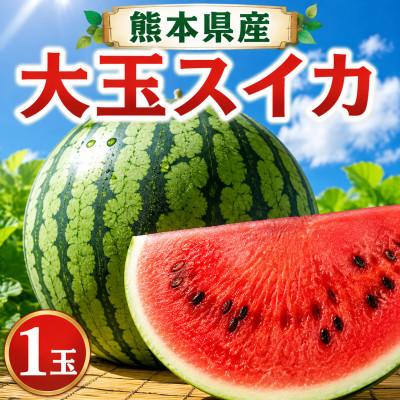 ふるさと納税 和水町 [熊本県産]大玉すいか(1玉)