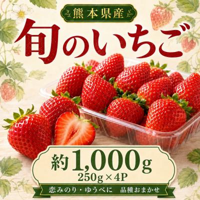 ふるさと納税 和水町 [注目のいちご]熊本県産 いちご 1000g(和水町)
