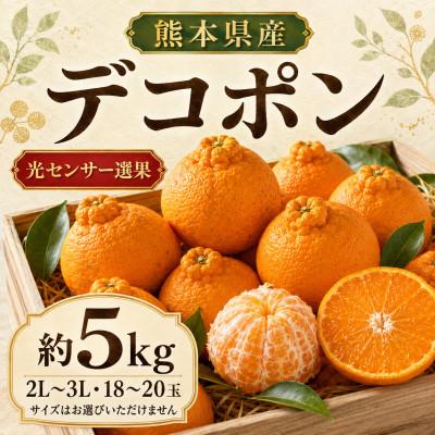 ふるさと納税 和水町 [柑橘の王様]熊本 デコポン 約5kg(和水町)
