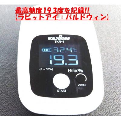 ふるさと納税 北杜市 2026年産　大人気!甘くジューシーな冷凍ブルーベリー 1kgパック |  | 02
