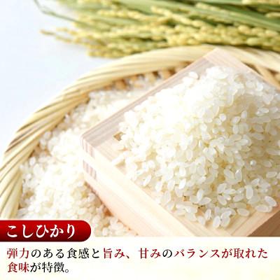 ふるさと納税 五霞町 【令和8年産】コシヒカリ 精米 10kg(5kg×2袋)茨城のおいしいお米 |  | 01