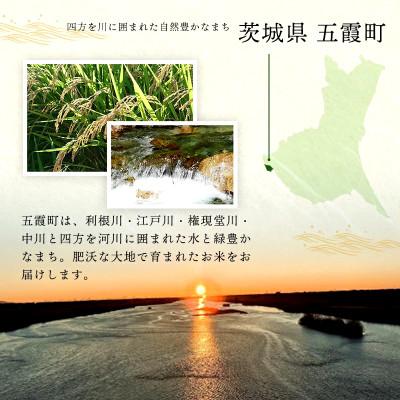 ふるさと納税 五霞町 【令和8年産】コシヒカリ 精米 10kg(5kg×2袋)茨城のおいしいお米 |  | 02