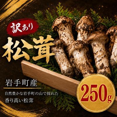 ふるさと納税 岩手町 [先行予約][訳あり]岩手町産 天然松茸 250g