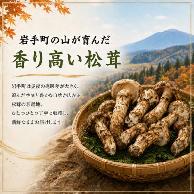 ふるさと納税 岩手町 【2027年順次発送】【先行予約】【訳あり】岩手町産 天然松茸 250g |  | 01