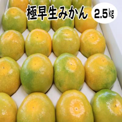 ふるさと納税 印南町 極早生みかん 約2.5kg 和歌山産 甘酸っぱいミカン