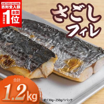 ふるさと納税 泉佐野市 さごしフィレ 合計1.2kg以上 小分け 切り身 魚