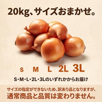 ふるさと納税 池田町 先行予約【訳あり】北海道産 玉ねぎ 20kg サイズおまかせ S〜3L 十勝池田町 十勝美濃農場 |  | 01
