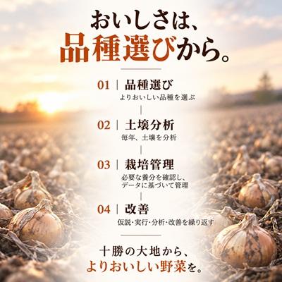 ふるさと納税 池田町 先行予約【訳あり】北海道産 玉ねぎ 20kg サイズ