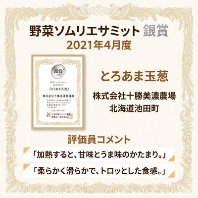 ふるさと納税 池田町 先行予約【訳あり】北海道産 玉ねぎ 20kg サイズおまかせ S〜3L 十勝池田町 十勝美濃農場 |  | 03
