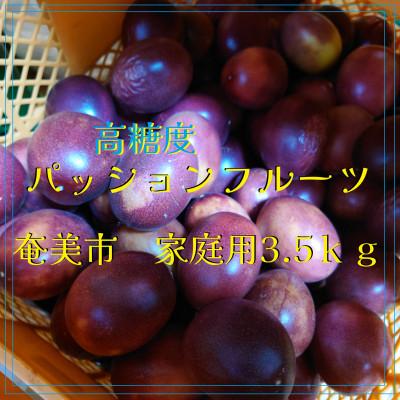 ふるさと納税 奄美市 高糖度:家庭用 パッションフルーツ(約3.5kg)